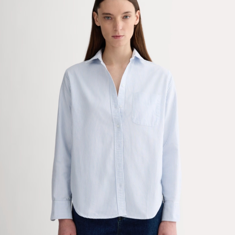 Everlane Must-Have Light Blue and White Striped Button-Up Shirt